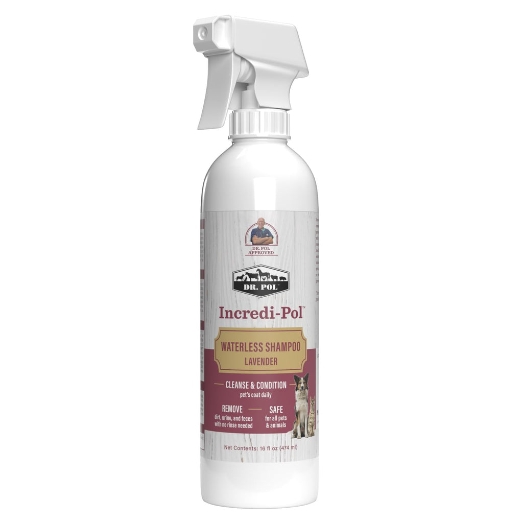 Lavender 16 oz Waterless Dog Shampoo O17747
