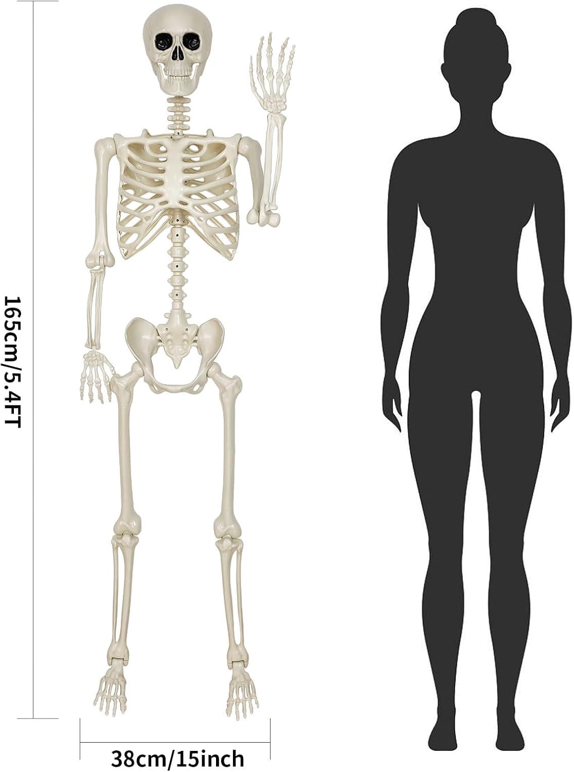 5.4FT Posable Skeleton Decorations T255307