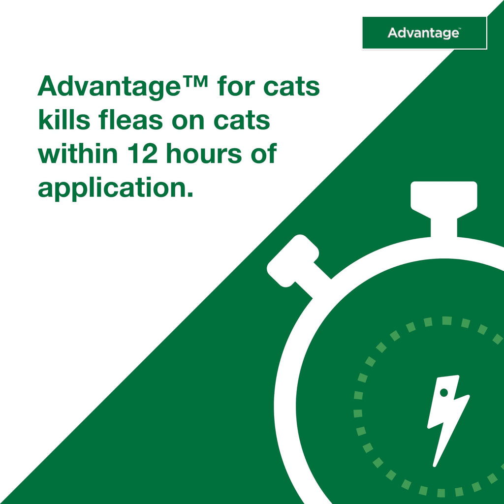 Topical Cat Flea Treatment and Prevention for Small Cats 2-9 lbs Y39411