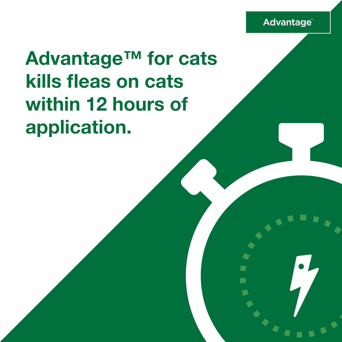 Topical Cat Flea Treatment and Prevention for Small Cats 2-9 lbs Y39411