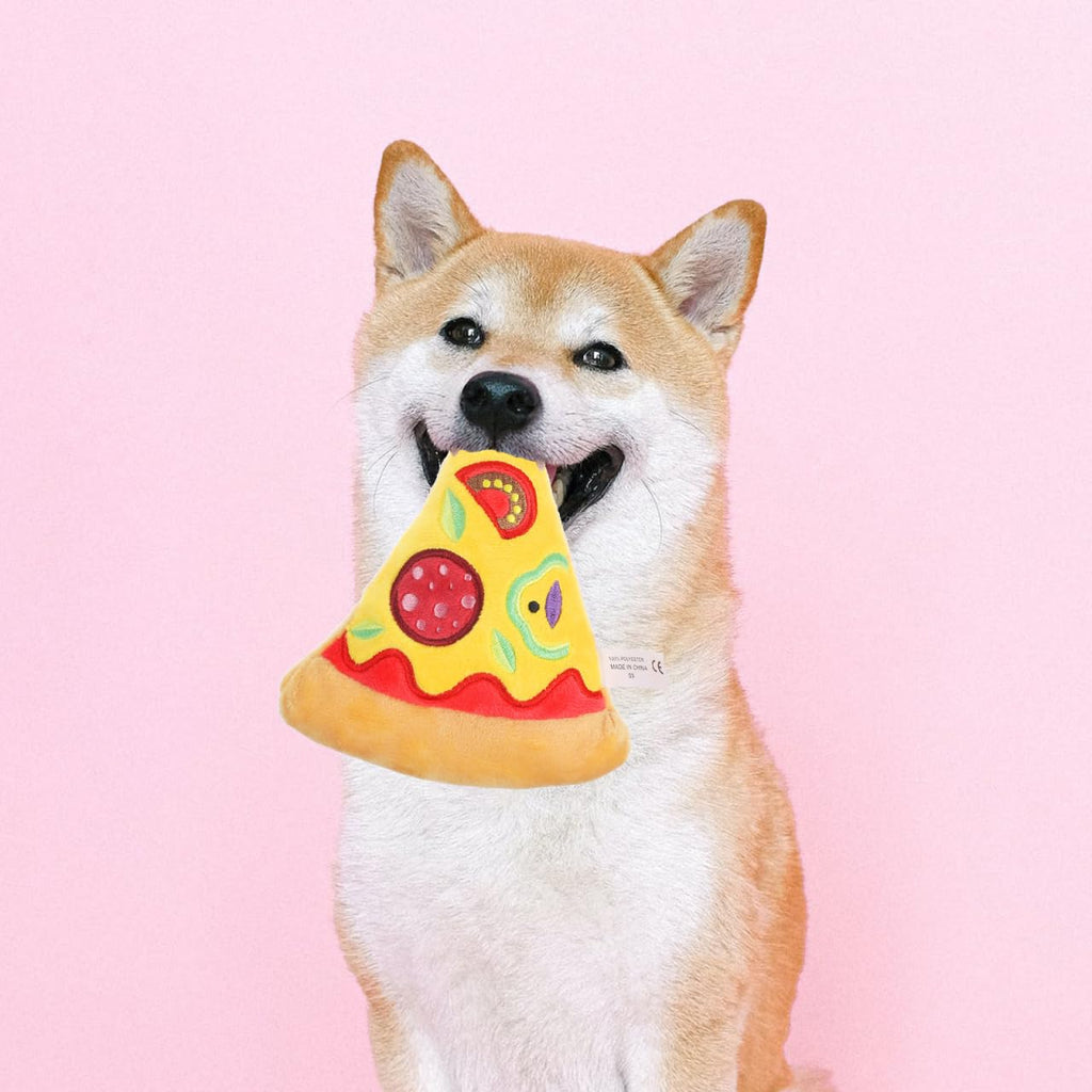 Squeaky Pizza Plush Dog Chew Toy 1 Pack I499