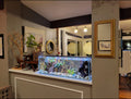 6 Gallon Clear Glass Aquarium D5210