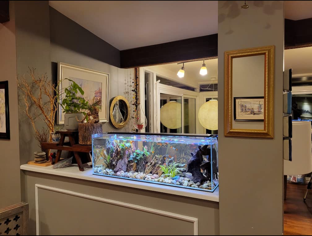 6 Gallon Clear Glass Aquarium D5210