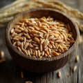 Wheat Berries White 10 LB Whole Grain O334