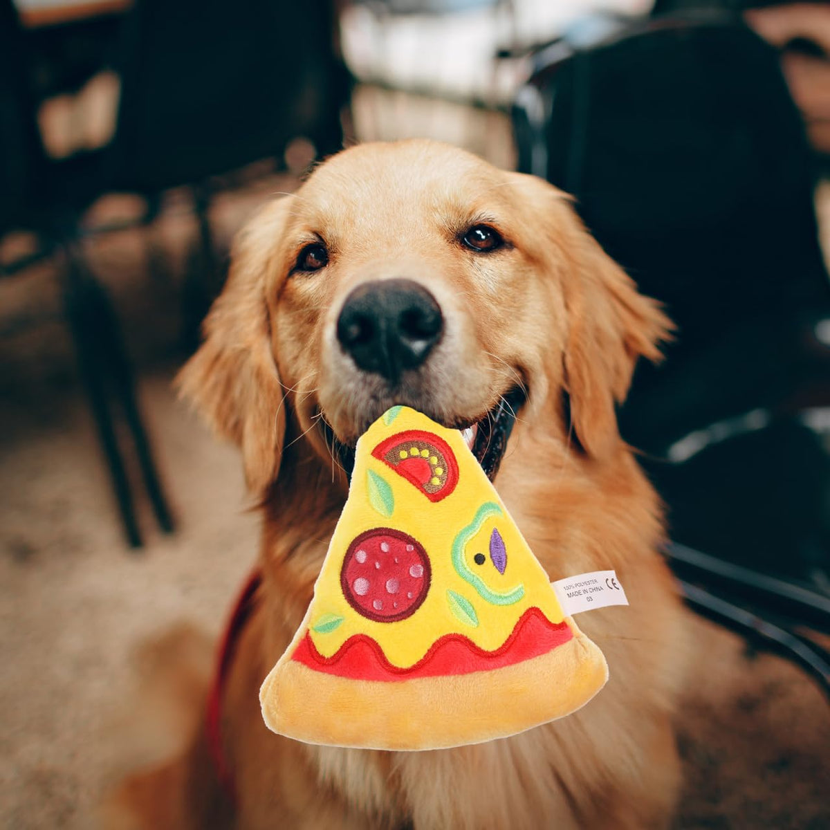 Squeaky Pizza Plush Dog Chew Toy 1 Pack I499