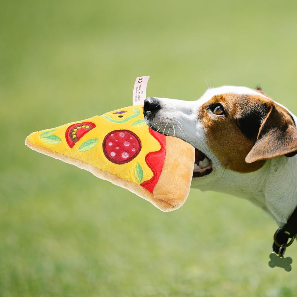 Squeaky Pizza Plush Dog Chew Toy 1 Pack I499