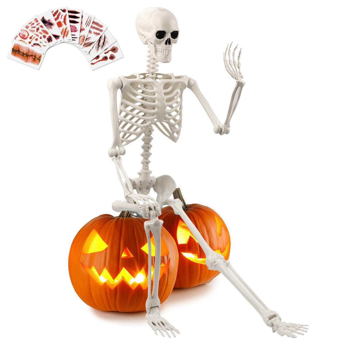 Life Size Poseable Skeleton V110494