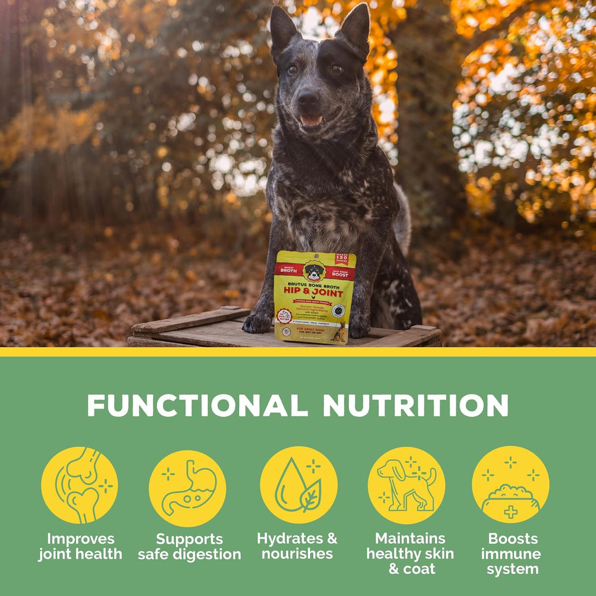 Chicken Flavor Bone Broth Powder for Dogs 3.5 oz G12396