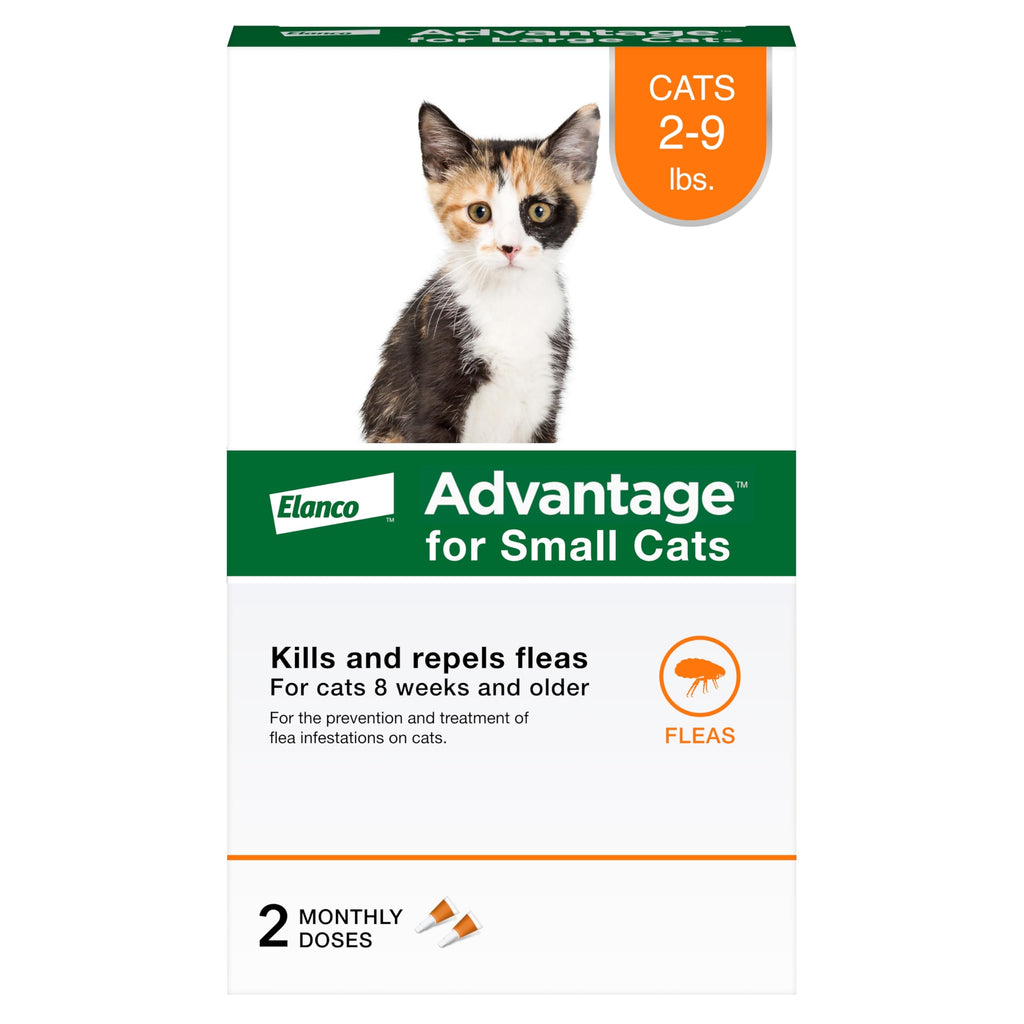 Topical Cat Flea Treatment and Prevention for Small Cats 2-9 lbs Y39411
