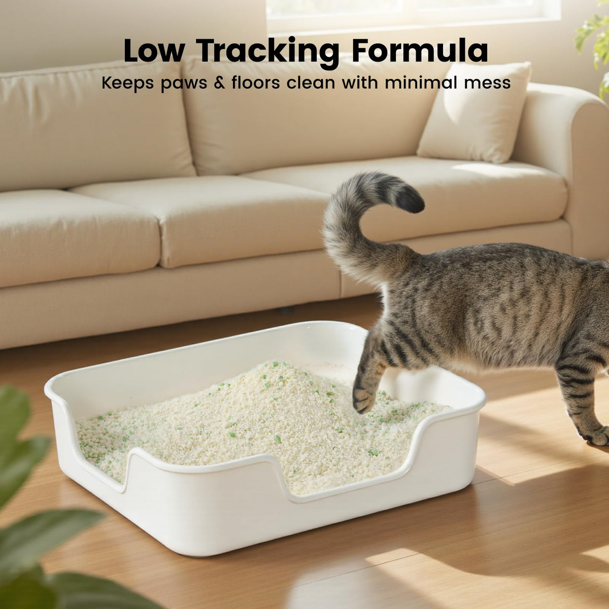 Cassava Cat Litter 18LBS Z5865