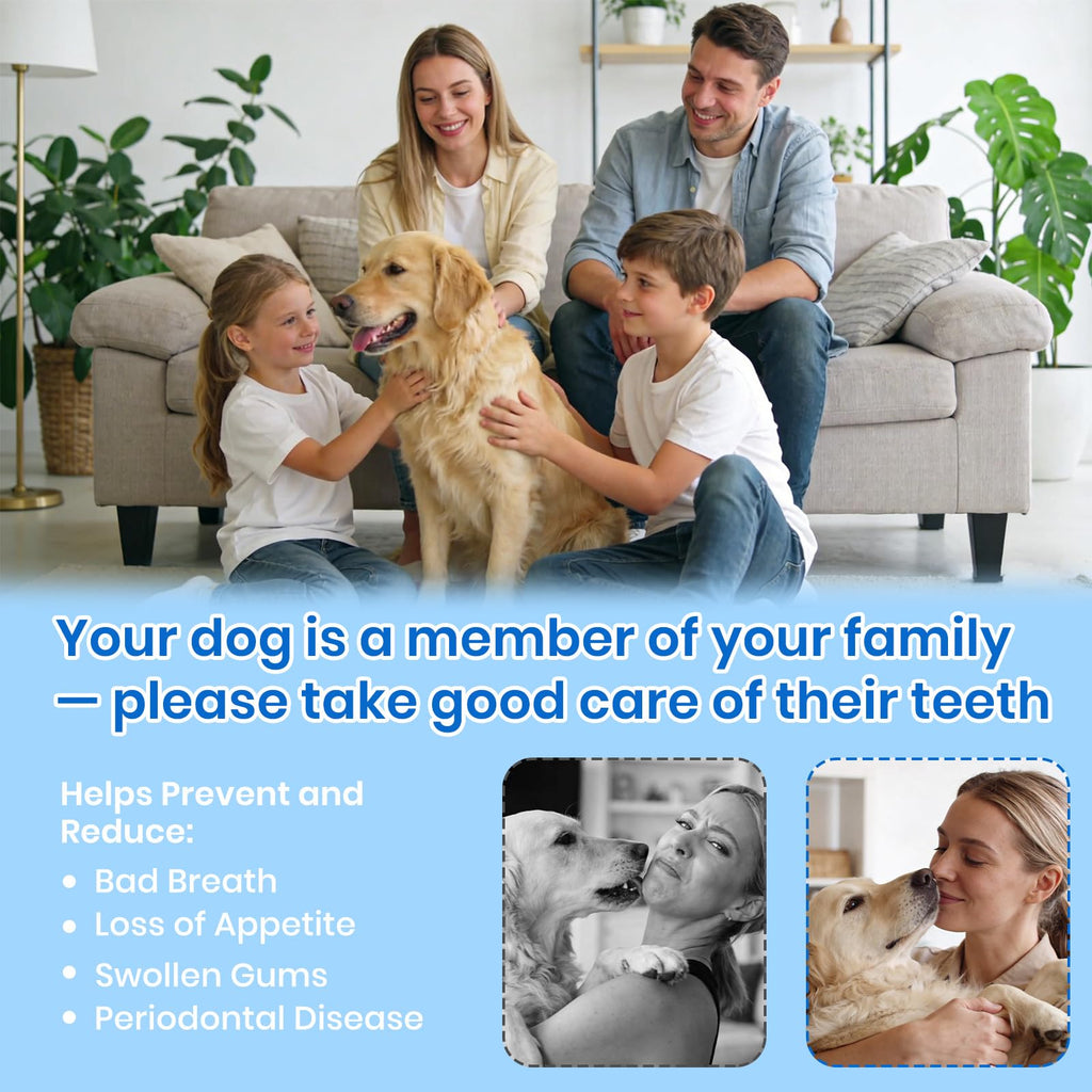 Dog Plaque Remover for Teeth with UV Sanitizing Chamber R18689
