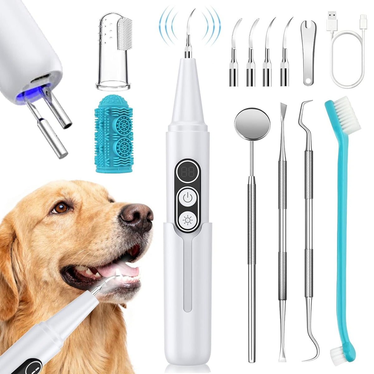 Dog Plaque Remover for Teeth with UV Sanitizing Chamber R18689