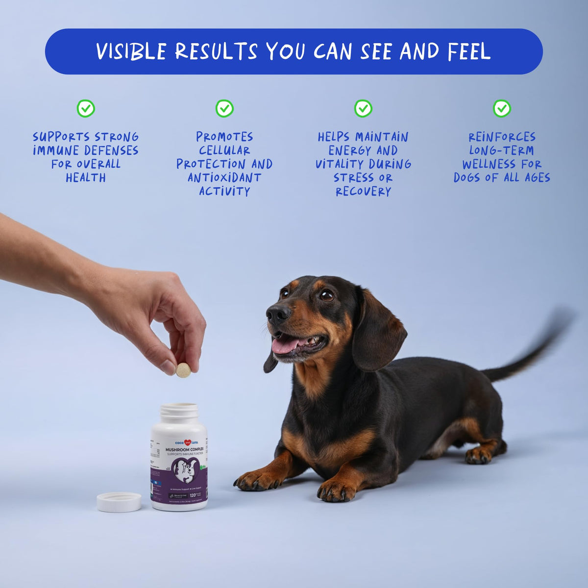 Turkey Tail Mushroom Supplement for Dogs, 120 ct W1752