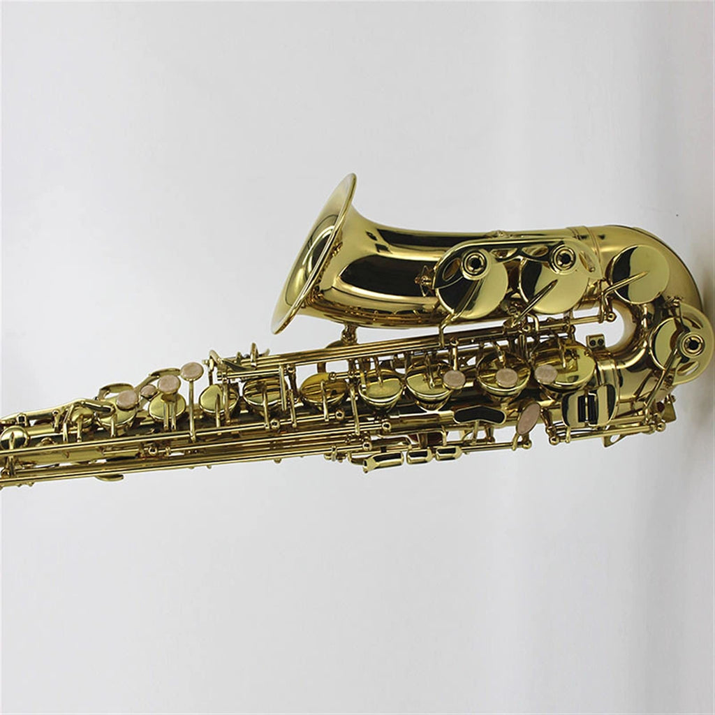 Lacquered Brass E-Flat Alto Saxophone X538