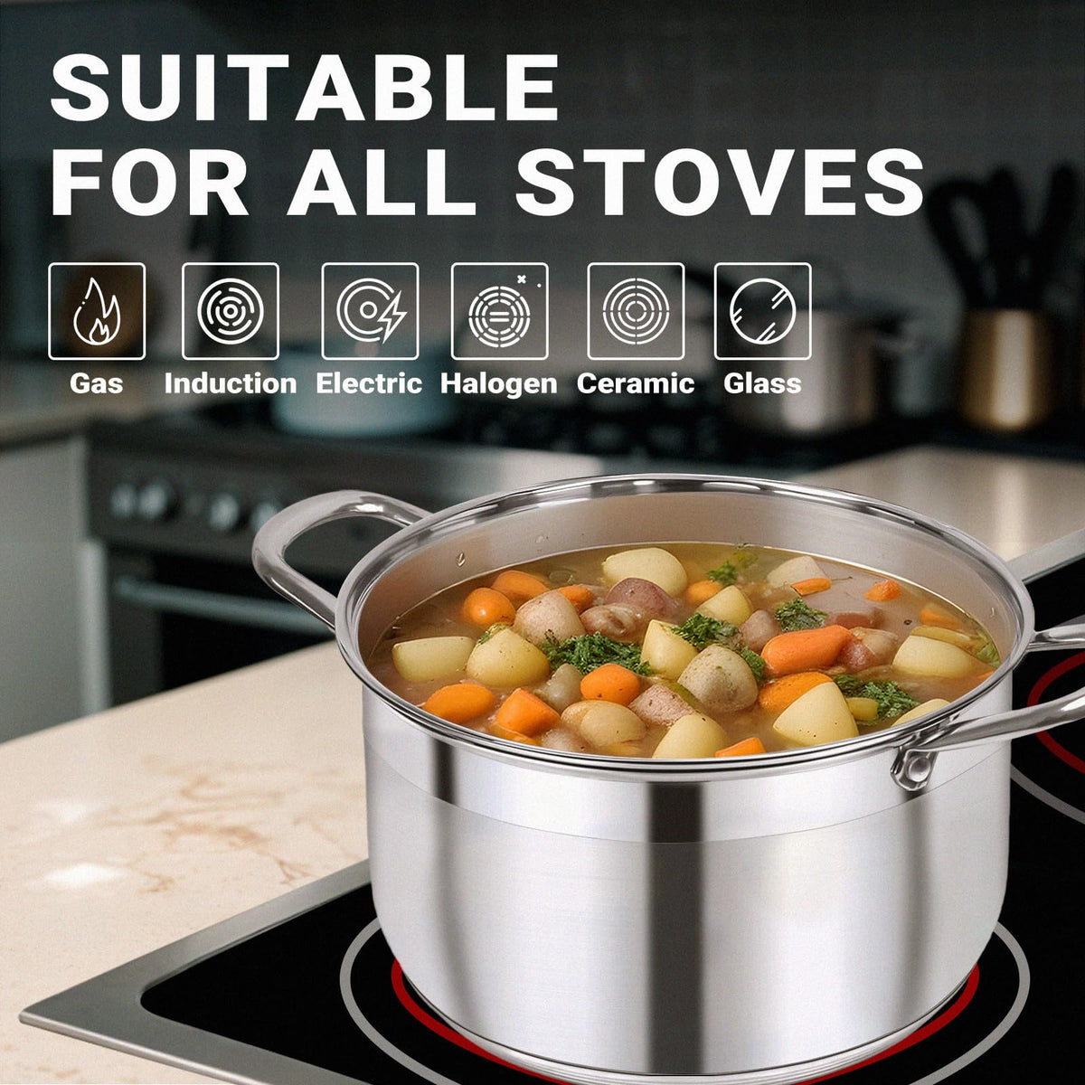 8 Quart Stainless Steel Induction Stock Pot E51483