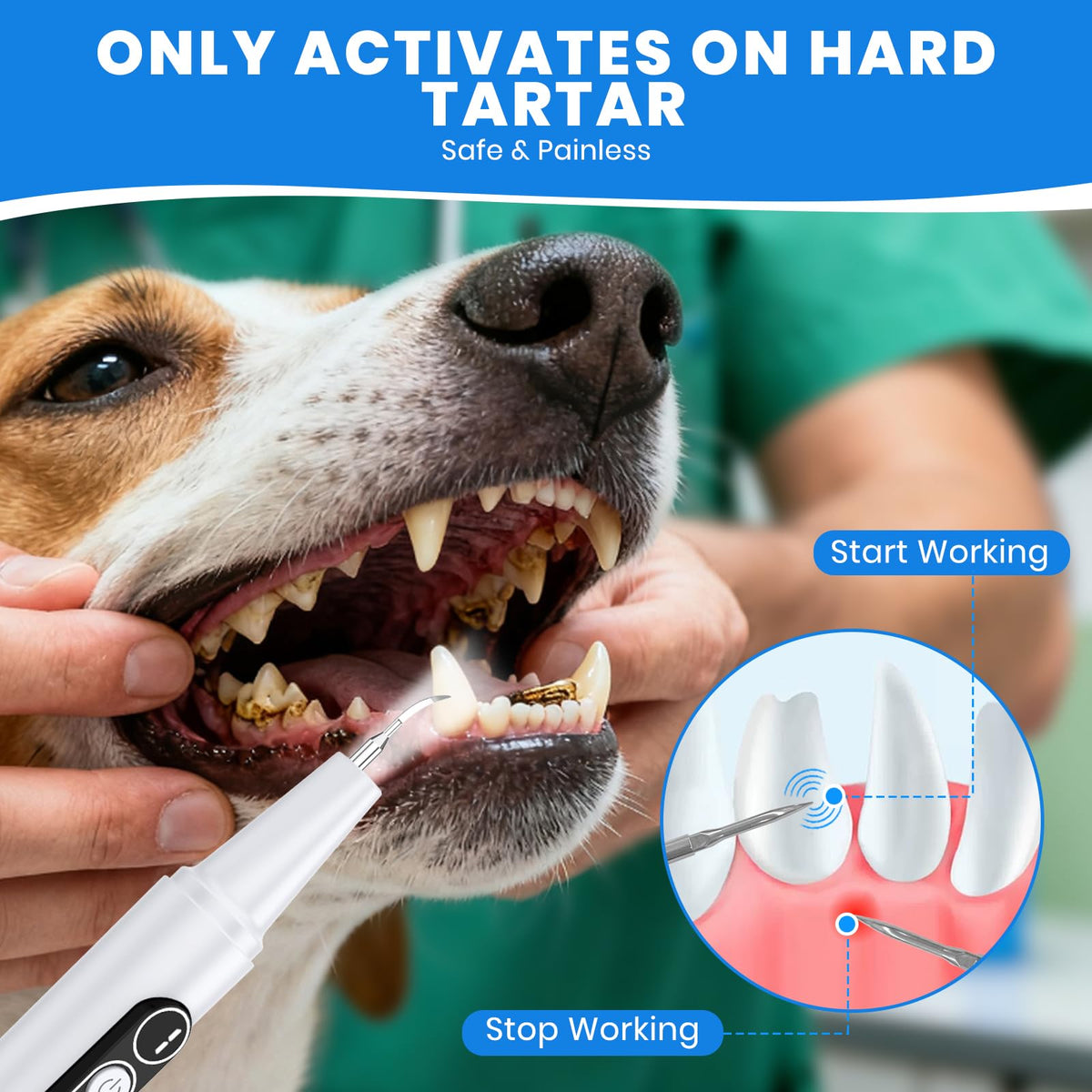 Dog Plaque Remover for Teeth with UV Sanitizing Chamber R18689