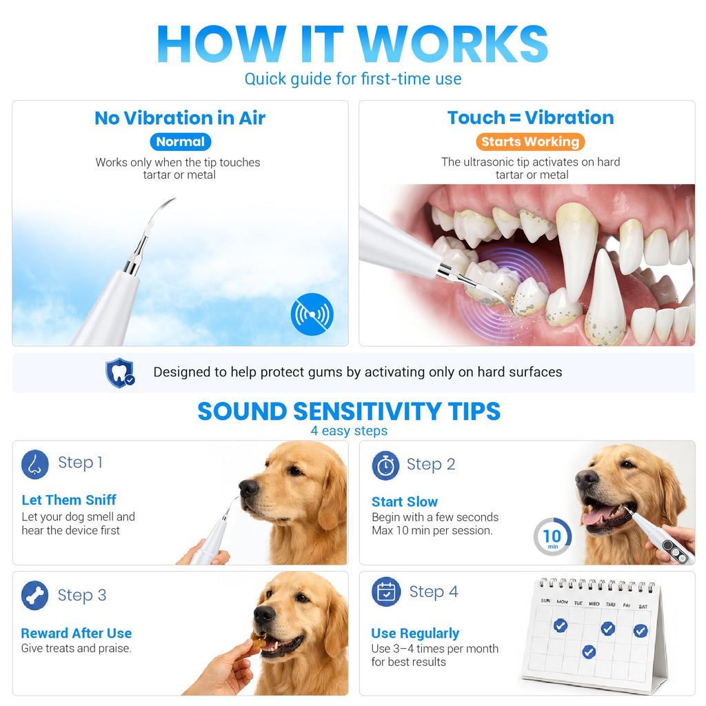 Dog Plaque Remover for Teeth with UV Sanitizing Chamber R18689