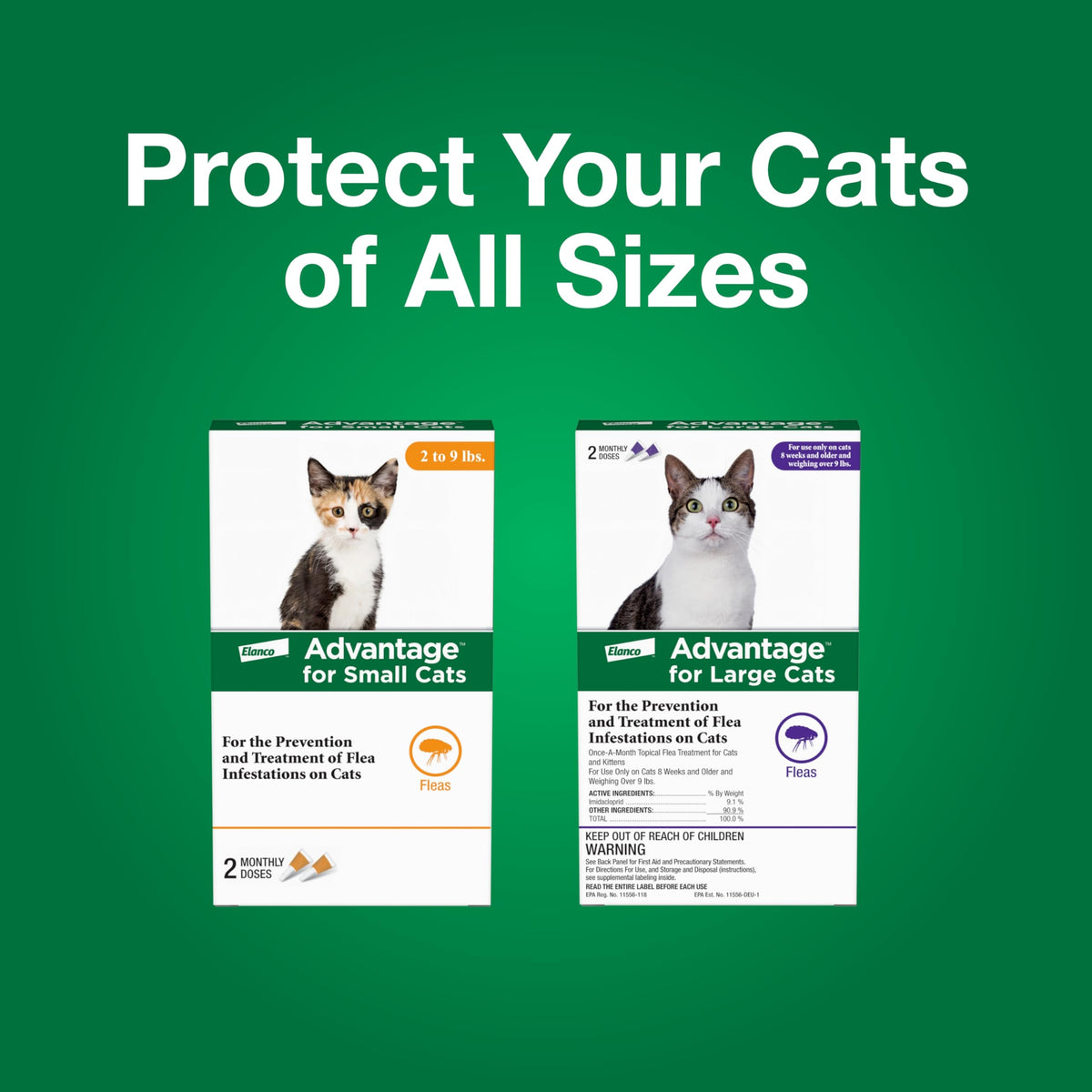 Topical Cat Flea Treatment and Prevention for Small Cats 2-9 lbs Y39411