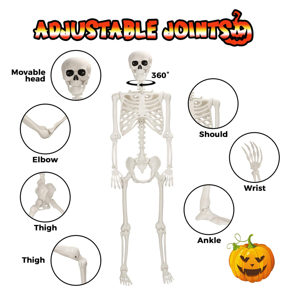 Life Size Poseable Skeleton V110494