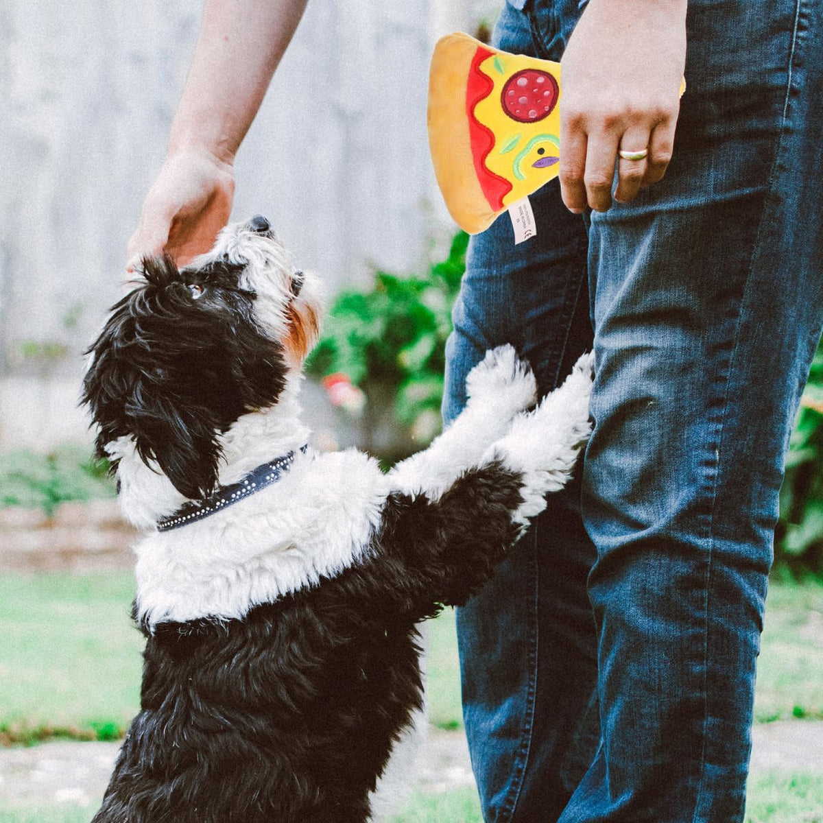 Squeaky Pizza Plush Dog Chew Toy 1 Pack I499