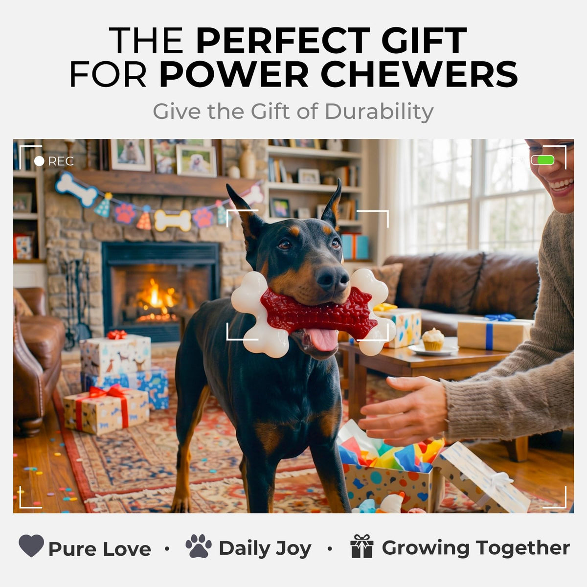 Tough Dog Chew Toys D33600