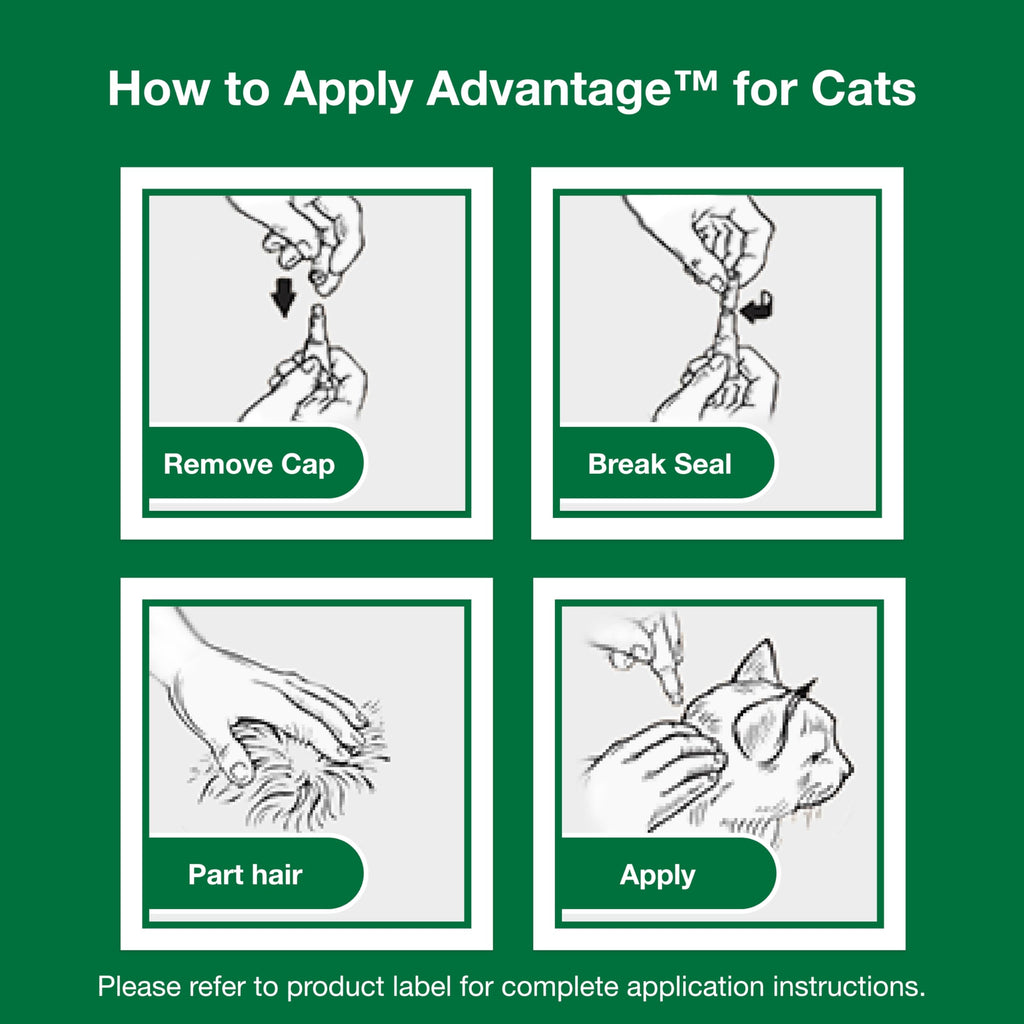 Topical Cat Flea Treatment and Prevention for Small Cats 2-9 lbs Y39411