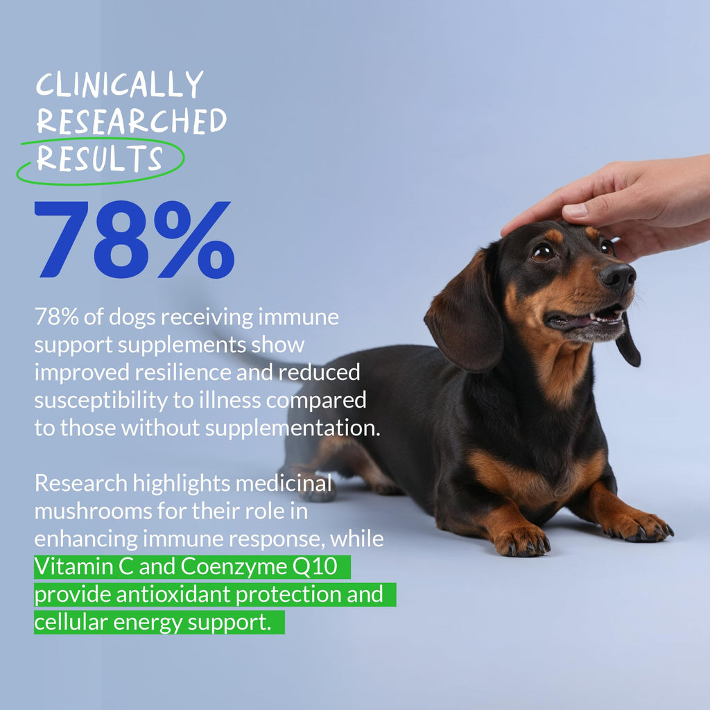 Turkey Tail Mushroom Supplement for Dogs, 120 ct W1752