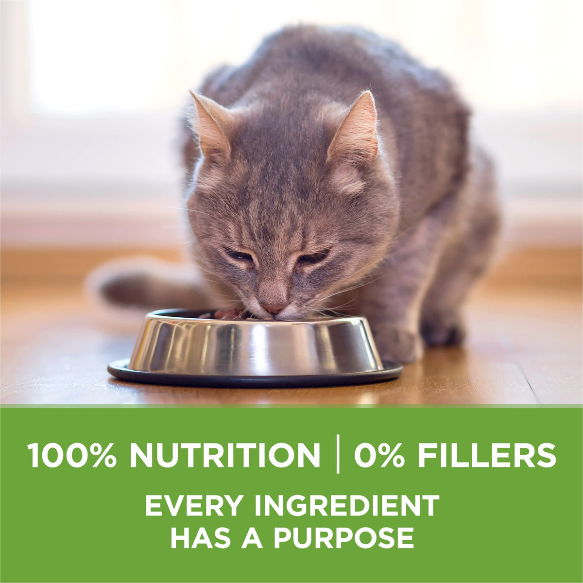 Indoor Weight Control Dry Cat Food 16 lb Bag B30978