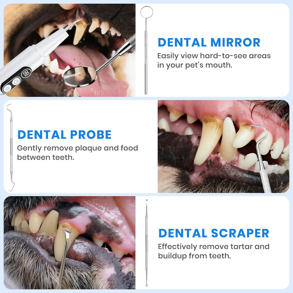 Dog Plaque Remover for Teeth with UV Sanitizing Chamber R18689