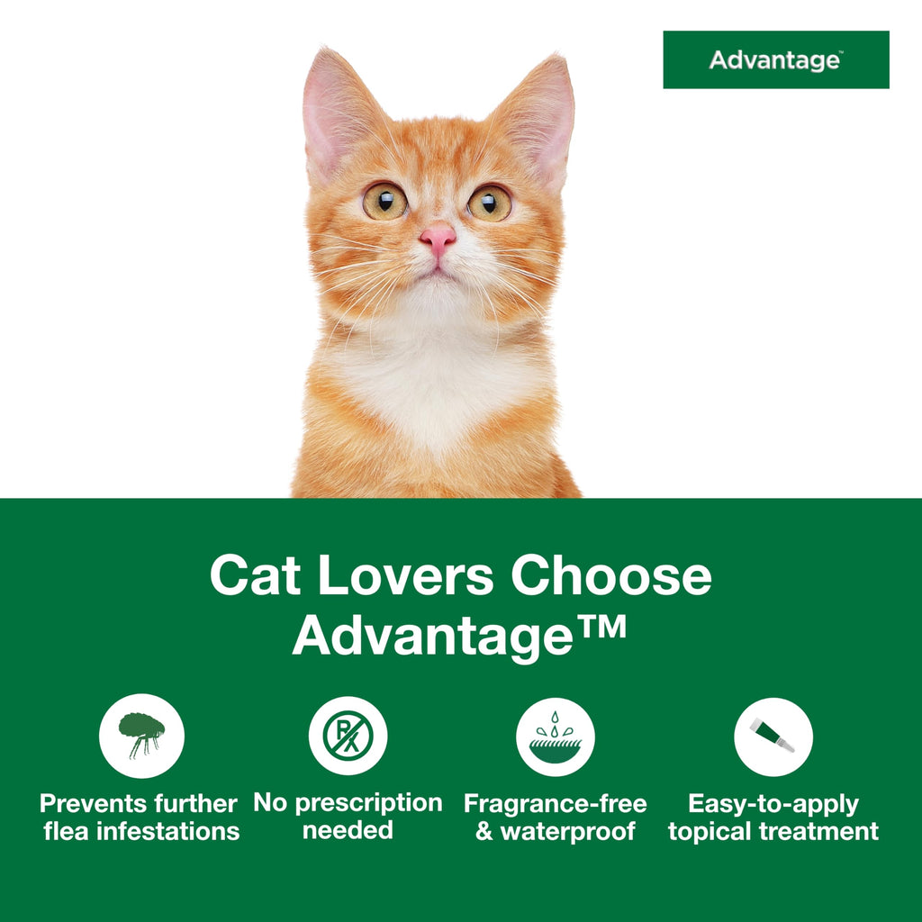 Topical Cat Flea Treatment and Prevention for Small Cats 2-9 lbs Y39411