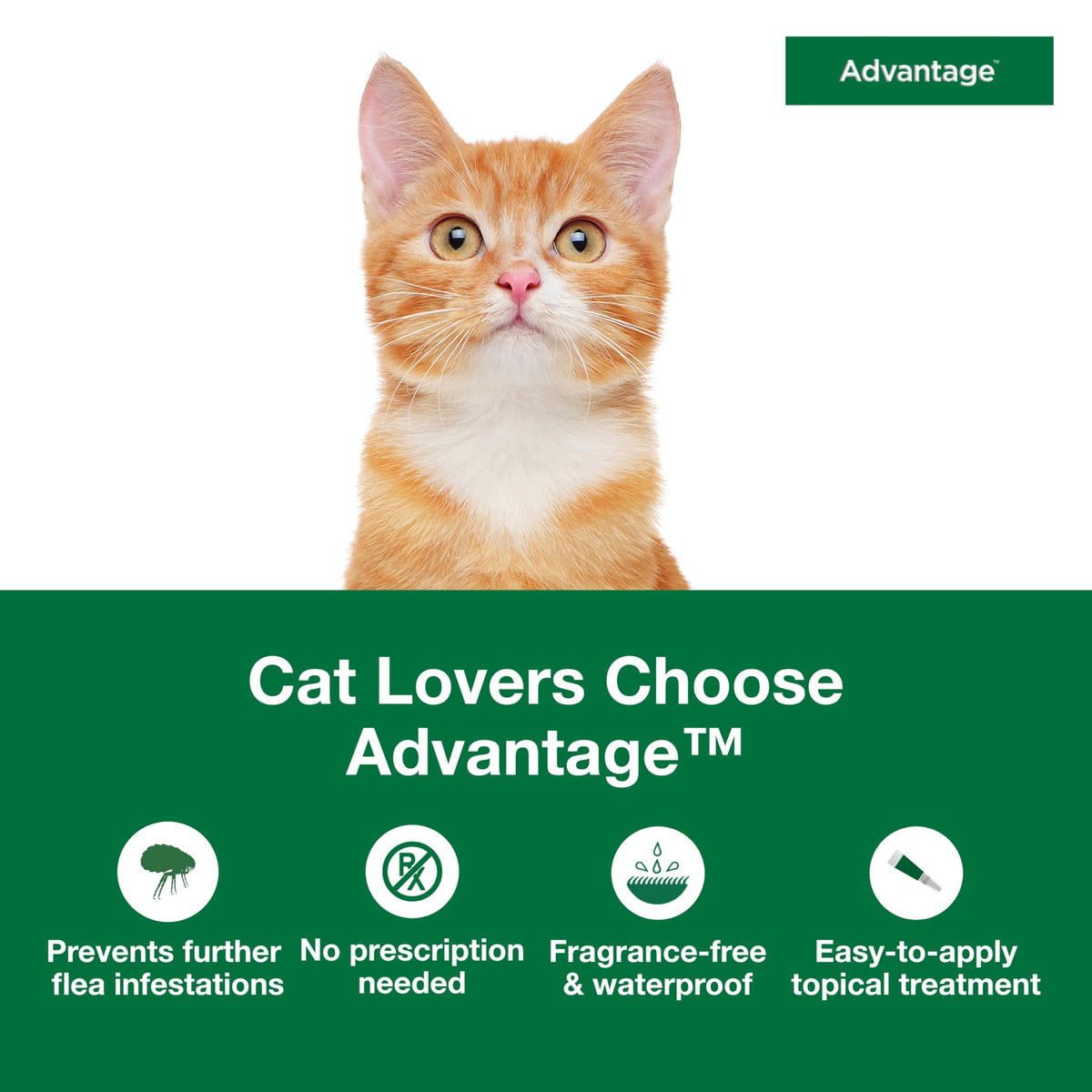 Topical Cat Flea Treatment and Prevention for Small Cats 2-9 lbs Y39411