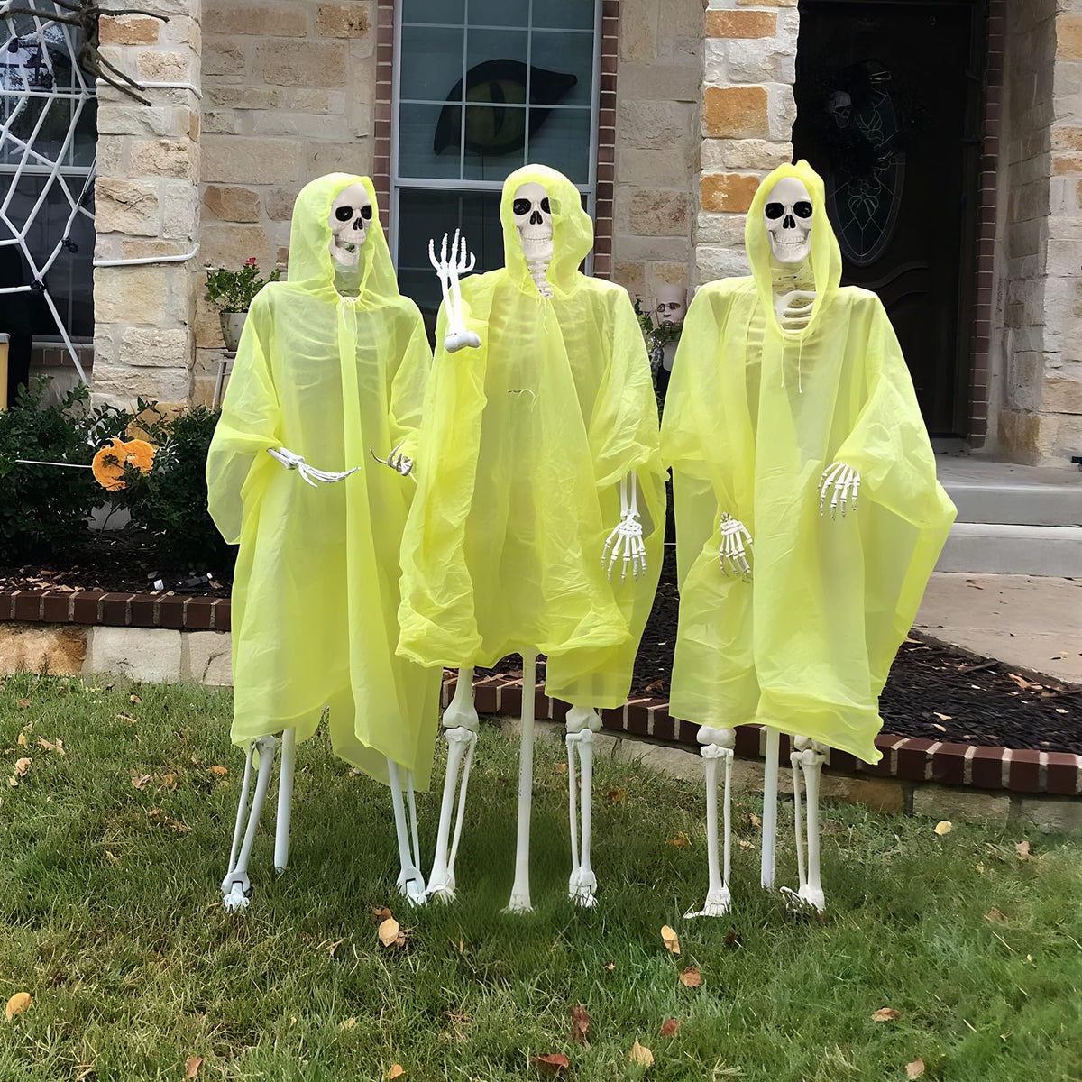 Life Size Poseable Skeleton V110494