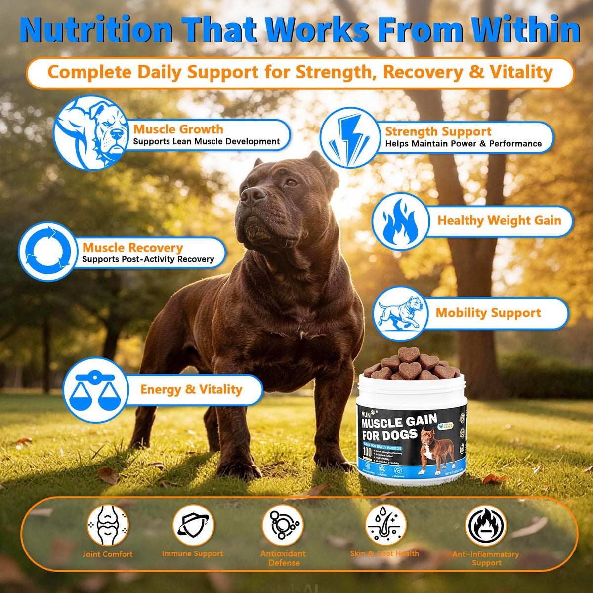 Dog Weight Gainer Soft Chews T292