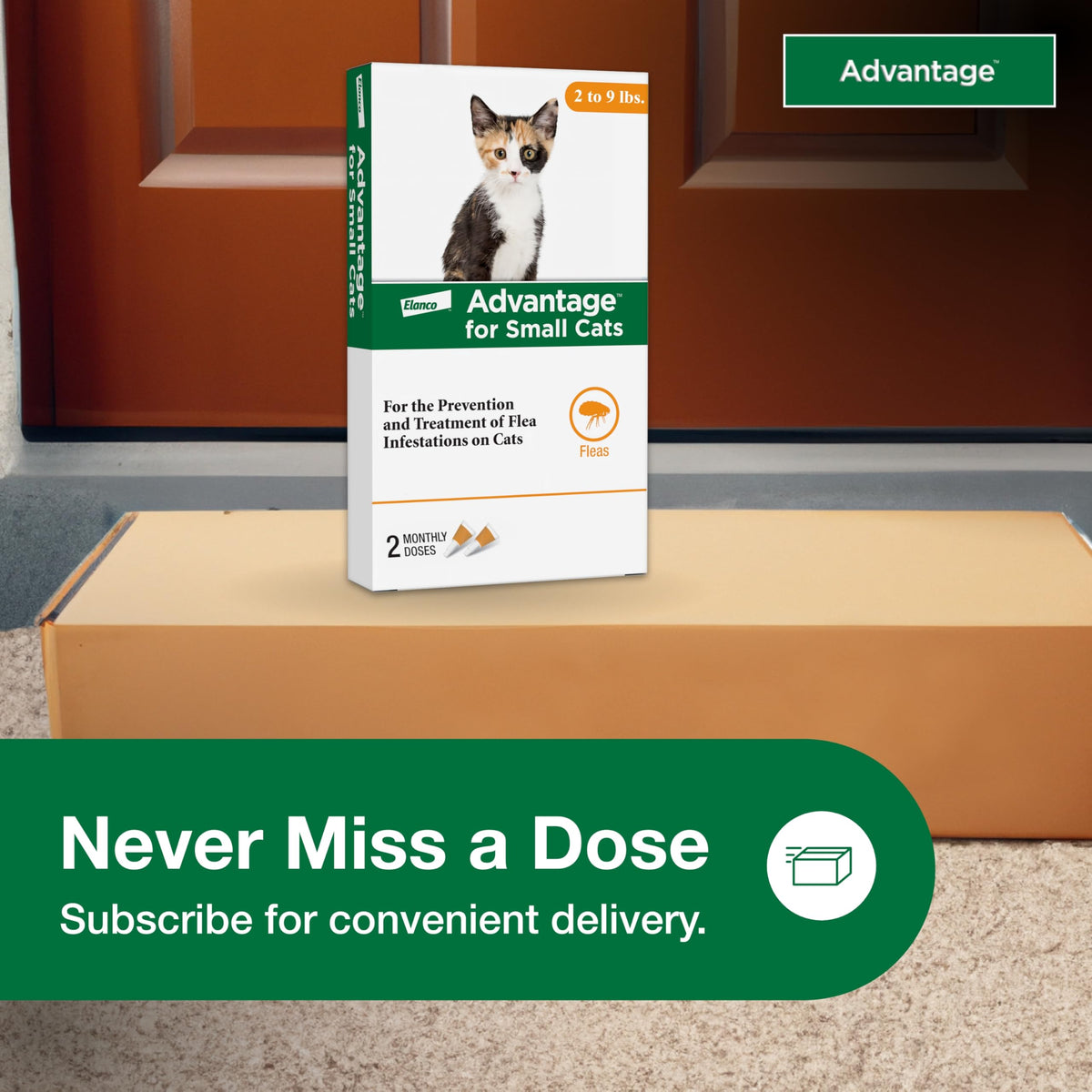 Topical Cat Flea Treatment and Prevention for Small Cats 2-9 lbs Y39411