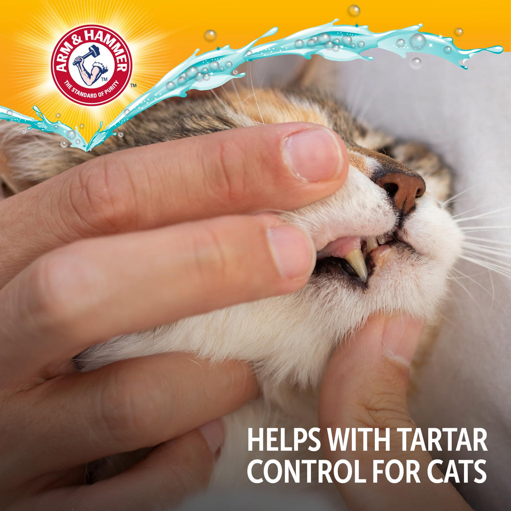 Cat Dental Water Additive 8 Fl Oz 6-Pack G28854