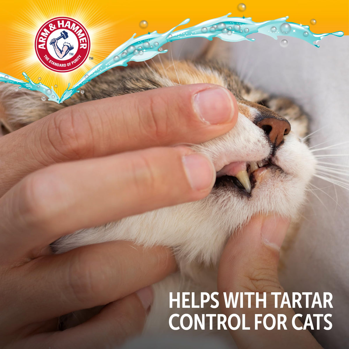 Cat Dental Water Additive 8 Fl Oz 6-Pack G28854