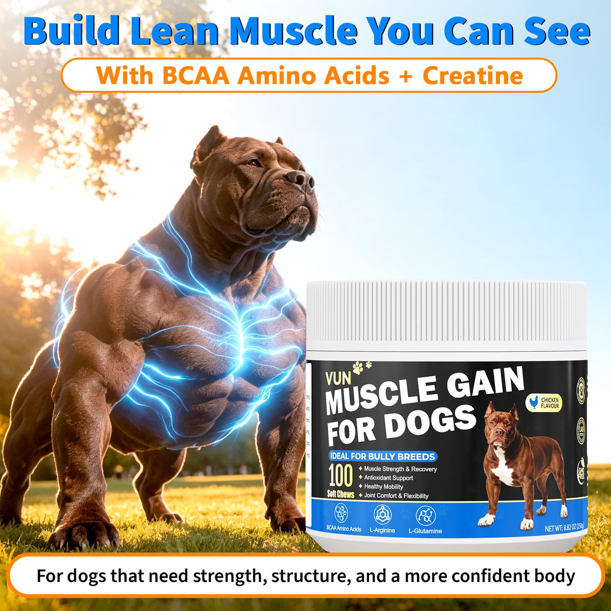Dog Weight Gainer Soft Chews T292