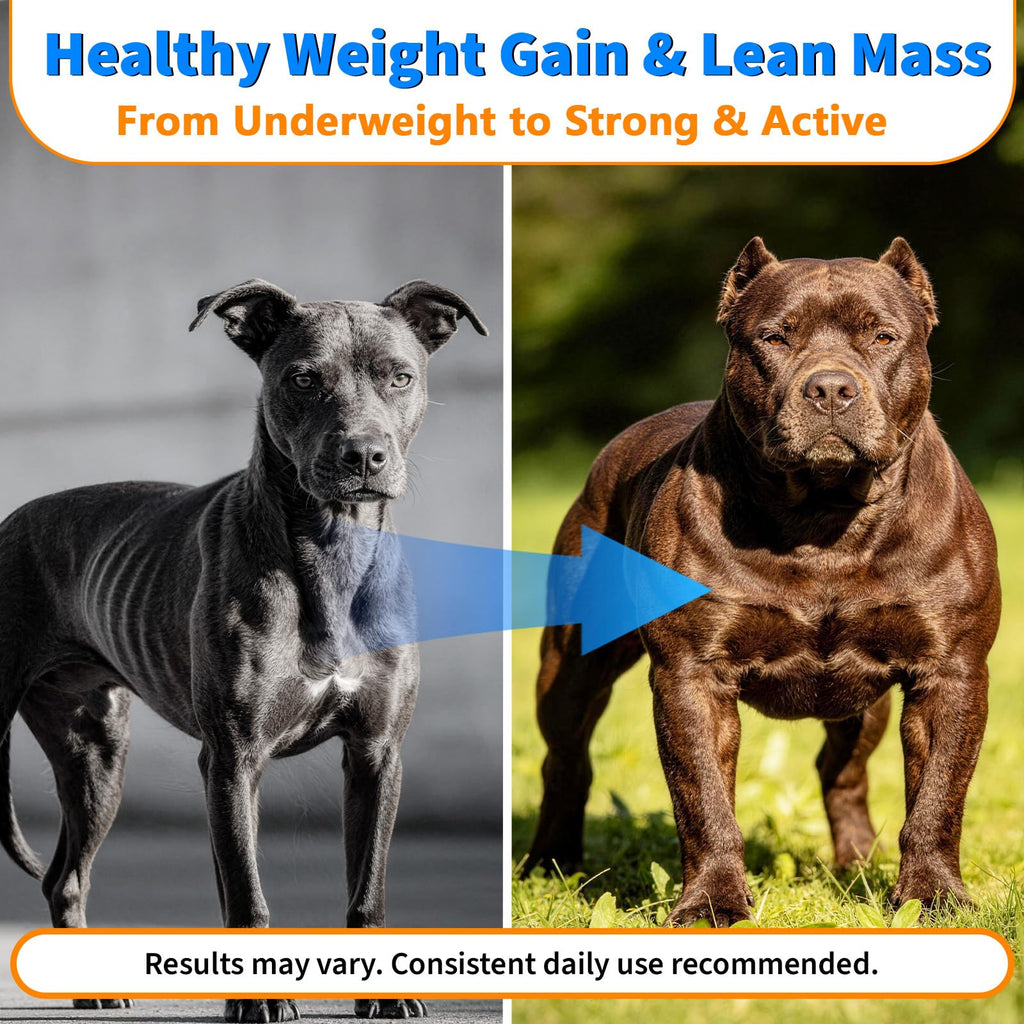 Dog Weight Gainer Soft Chews T292