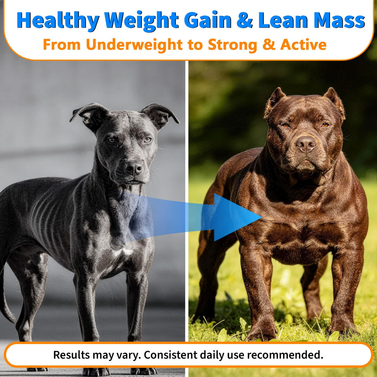 Dog Weight Gainer Soft Chews T292