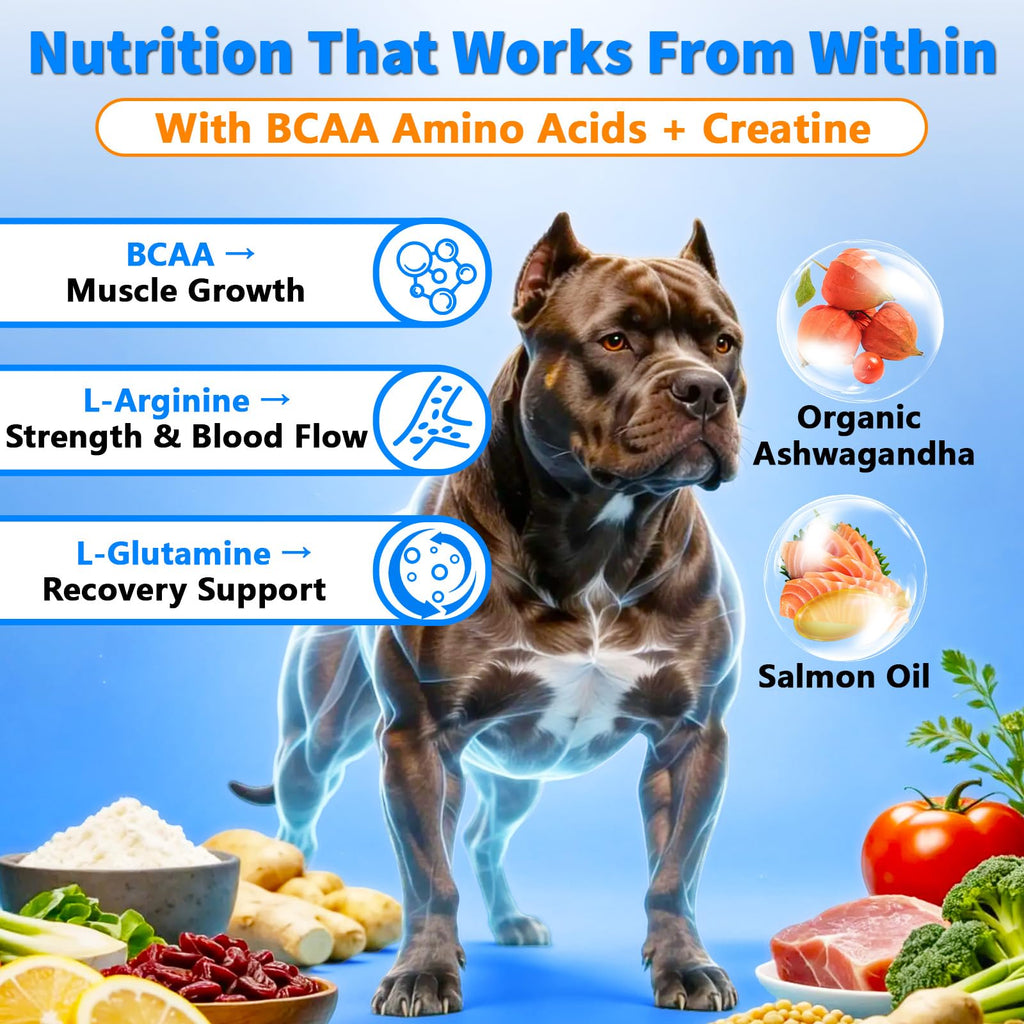 Dog Weight Gainer Soft Chews T292