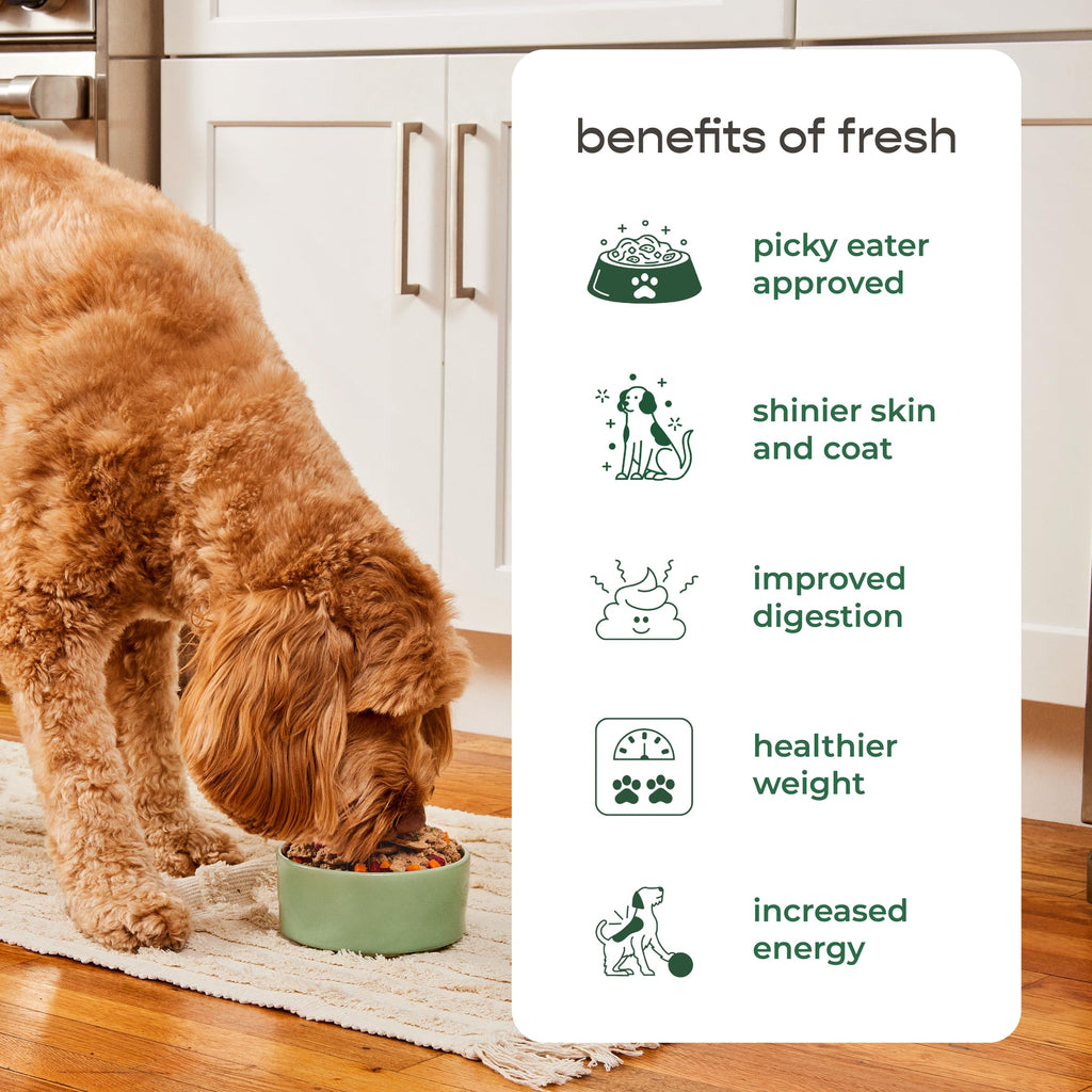 Dog Food Roll 16 Oz B454143
