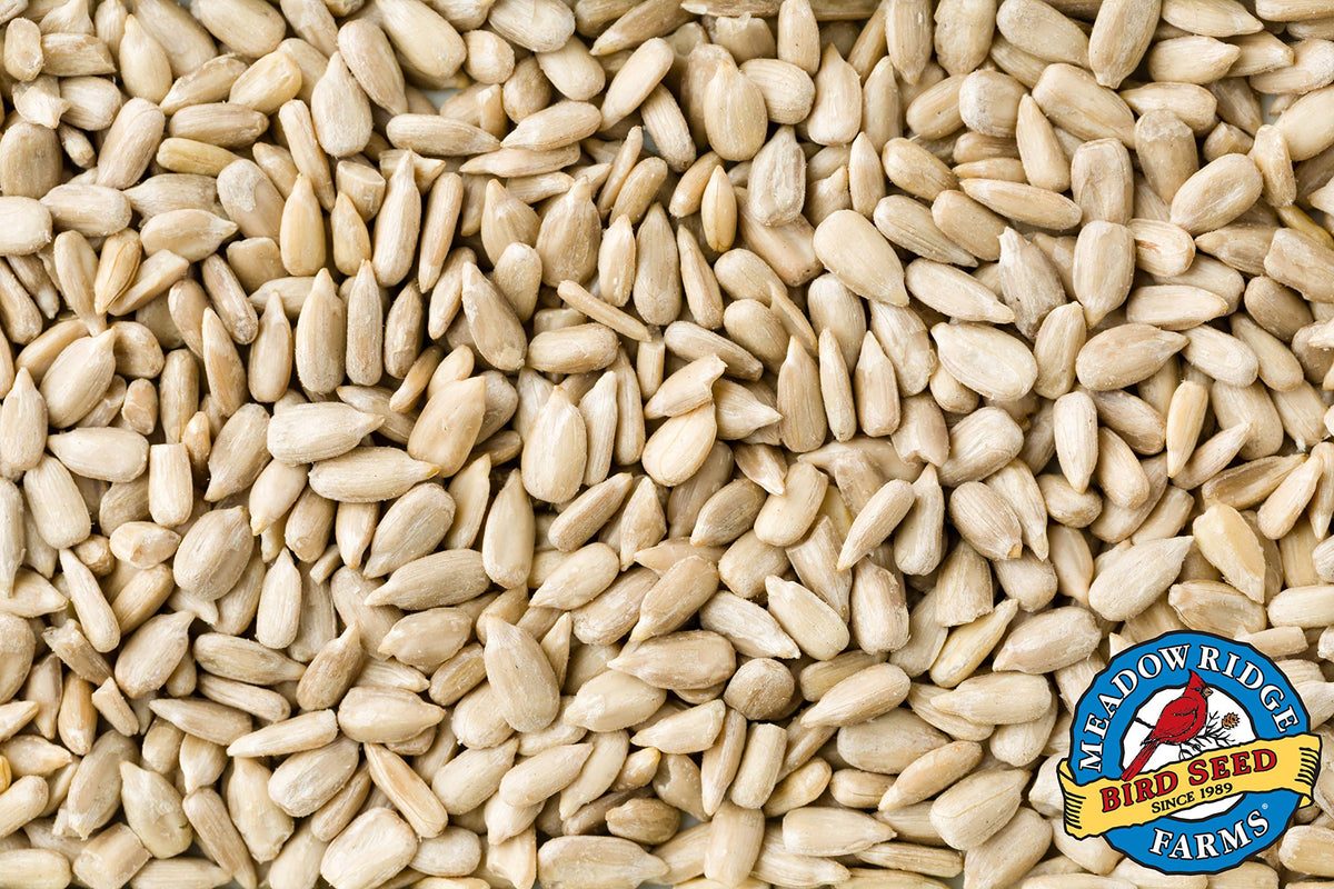 Wild Bird Seed 20-Pound Bag B7992