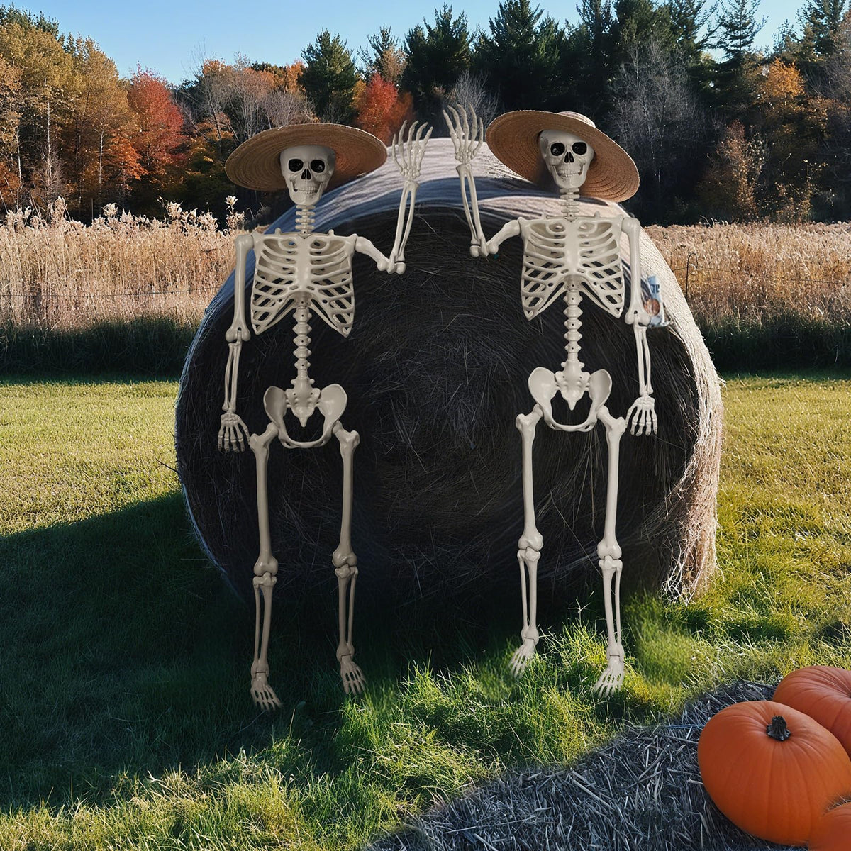 Life Size Poseable Skeleton V110494